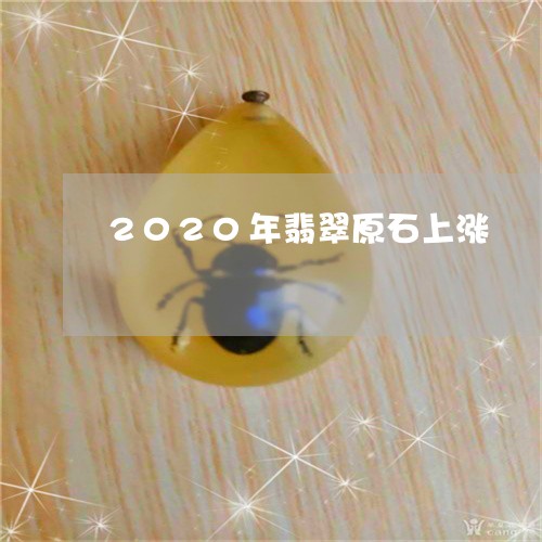 2020年翡翠原石上涨/2023070802717