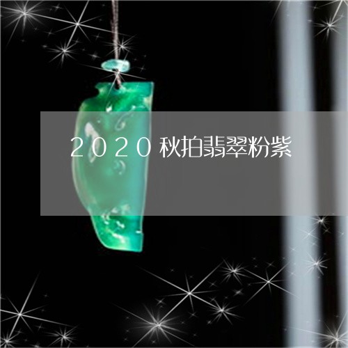 2020秋拍翡翠粉紫/2023041083061