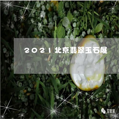 2021北京翡翠玉石展/2023070810282