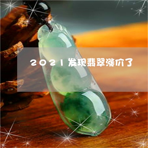 2021发现翡翠涨价了/2023070899381