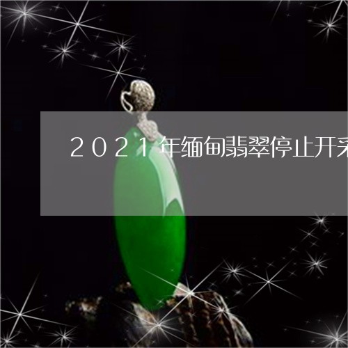 2021年缅甸翡翠停止开采/2023100652736