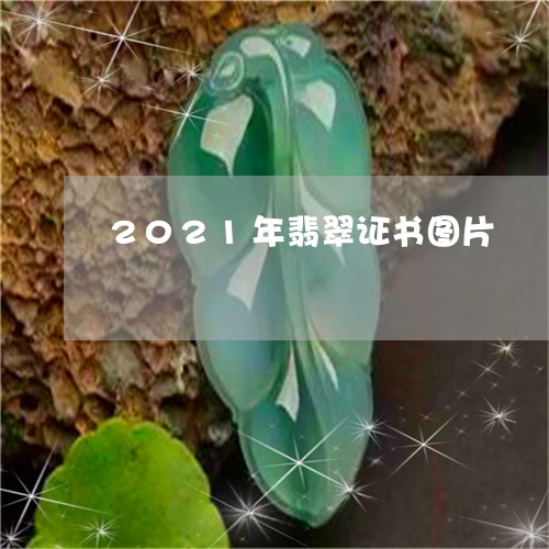 2021年翡翠证书图片/2023070848061