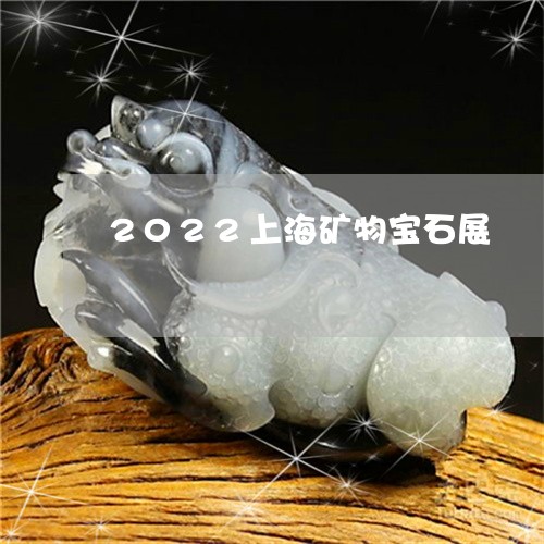 2022上海矿物宝石展/2023051650462