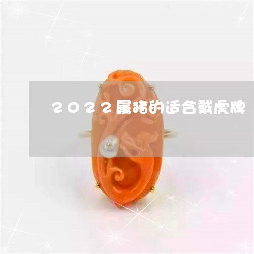 2022属猪的适合戴虎牌/2023061028361