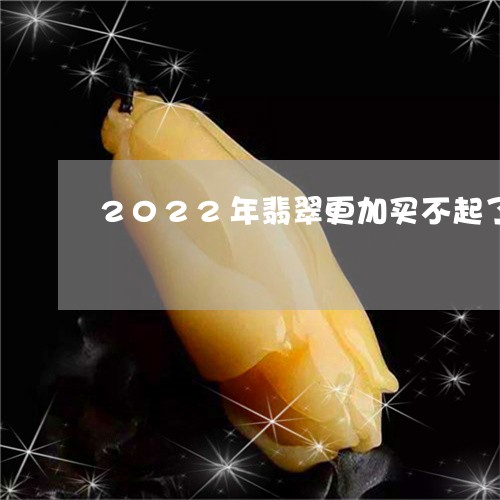 2022年翡翠更加买不起了/2023061095525