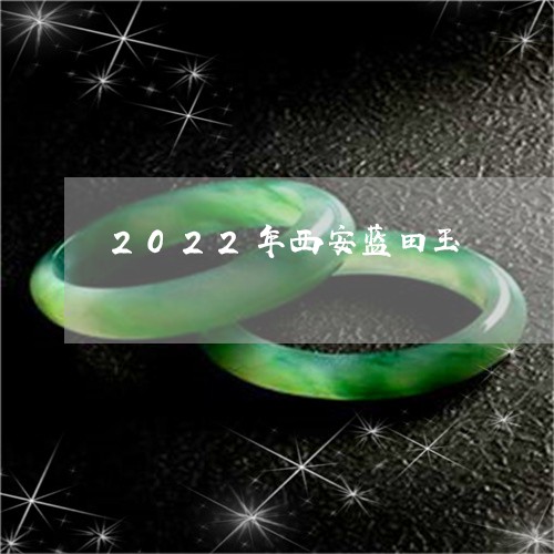 2022年西安蓝田玉/2023041033725