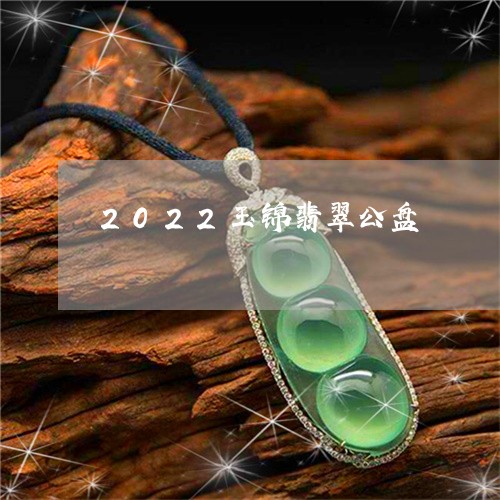 2022玉锦翡翠公盘/2023041026258