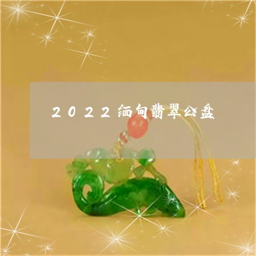 2022缅甸翡翠公盘/2023082596371