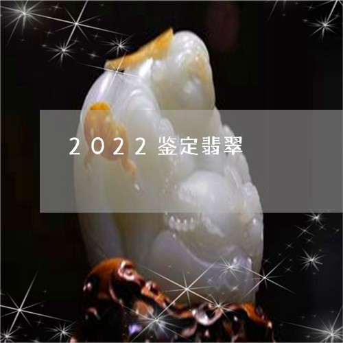 2022鉴定翡翠/2023093053715