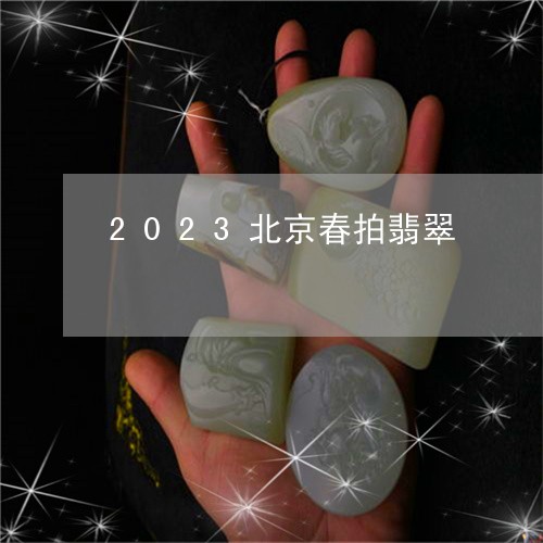 2023北京春拍翡翠/2023051047472