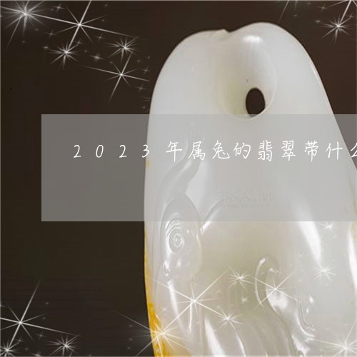 2023年属兔的翡翠带什么/2023100559259