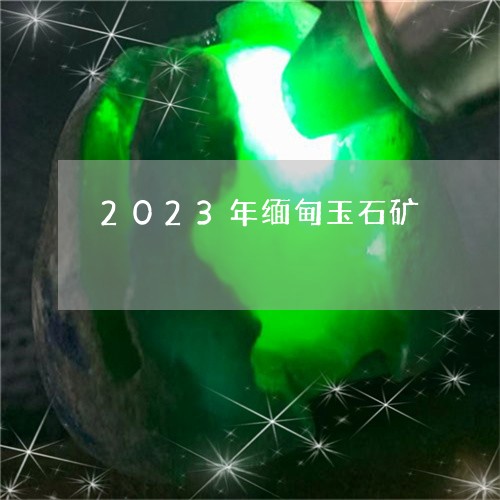 2023年缅甸玉石矿/2023082535083