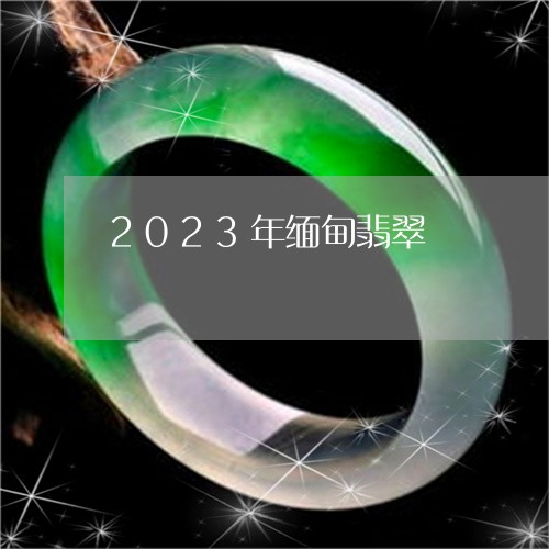 2023年缅甸翡翠/2023100715040