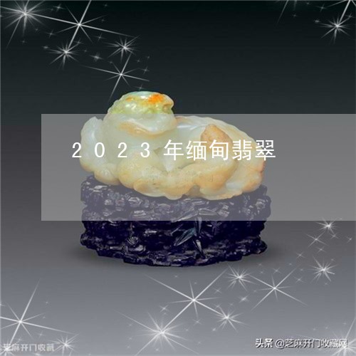 2023年缅甸翡翠/2023100772535