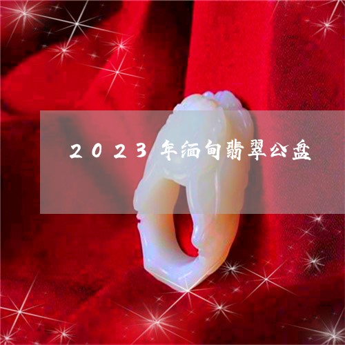 2023年缅甸翡翠公盘/2023111796257