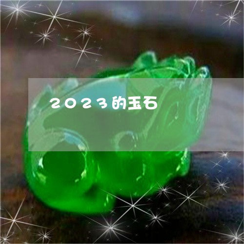 2023的玉石/2023100634807