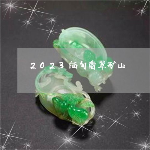 2023缅甸翡翠矿山/2023100794826