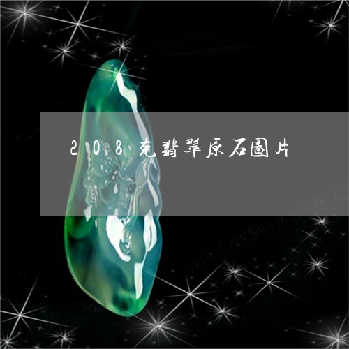 208克翡翠原石图片/2023041005949