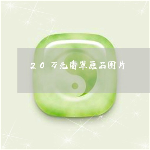 20万元翡翠原石图片/2023041079573