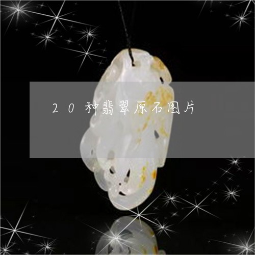 20种翡翠原石图片/2023040102624