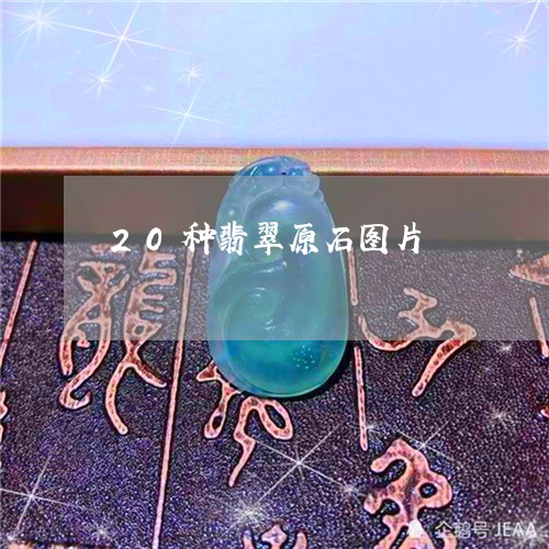 20种翡翠原石图片/2023040171703