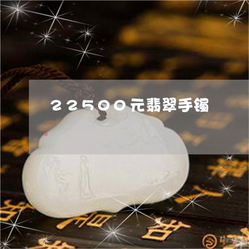 22500元翡翠手镯/2023041089582