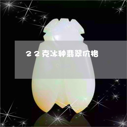 22克冰种翡翠价格/2023040179151