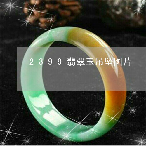 2399翡翠玉吊坠图片/2023070884946