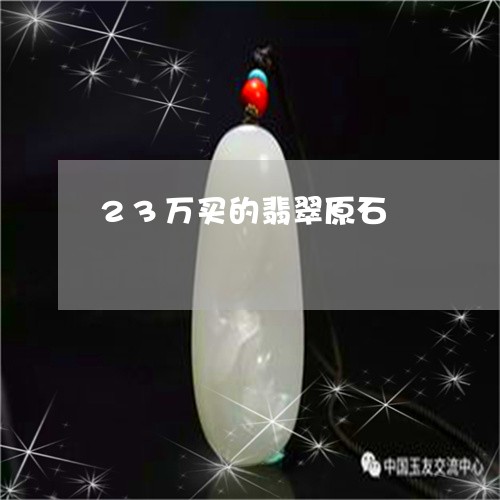 23万买的翡翠原石/2023040148494