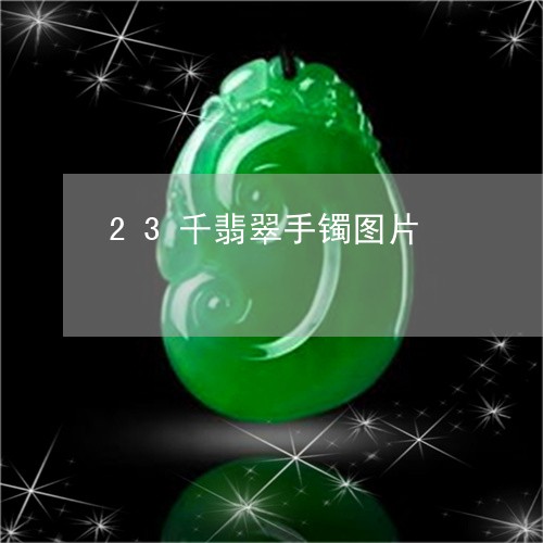 23千翡翠手镯图片/2023040128171