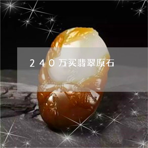 240万买翡翠原石/2023040189370