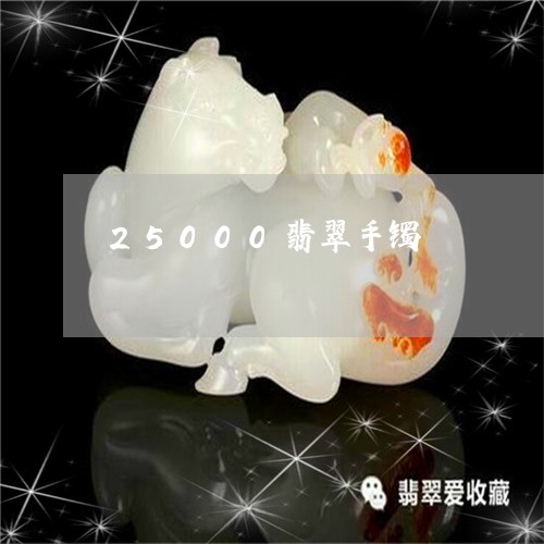 25000翡翠手镯/2023040190503