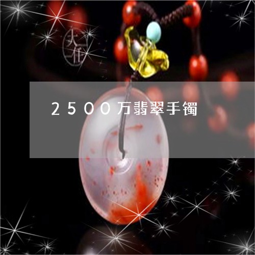 2500万翡翠手镯/2023040159473