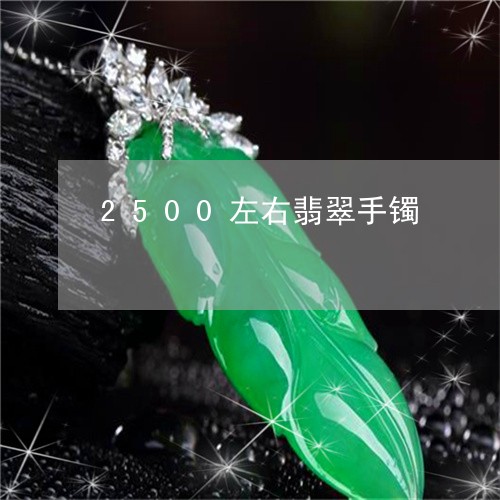 2500左右翡翠手镯/2023082588484