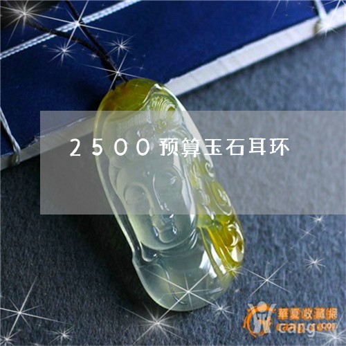 2500预算玉石耳环/2023061501613