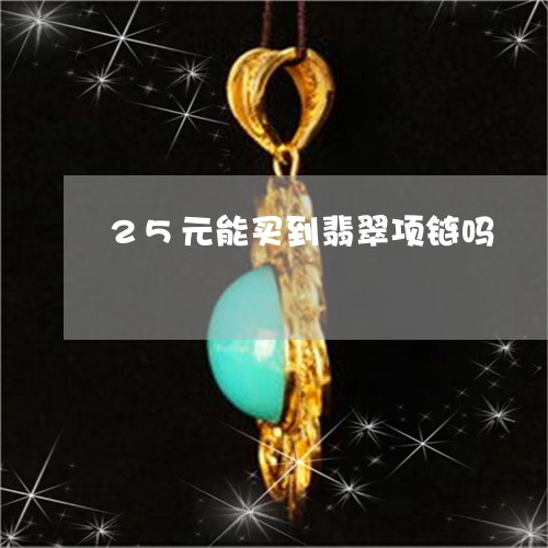 25元能买到翡翠项链吗/2023070824168