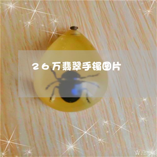 26万翡翠手镯图片/2023033173603