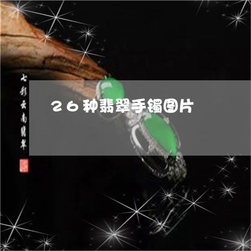 26种翡翠手镯图片/2023033135082