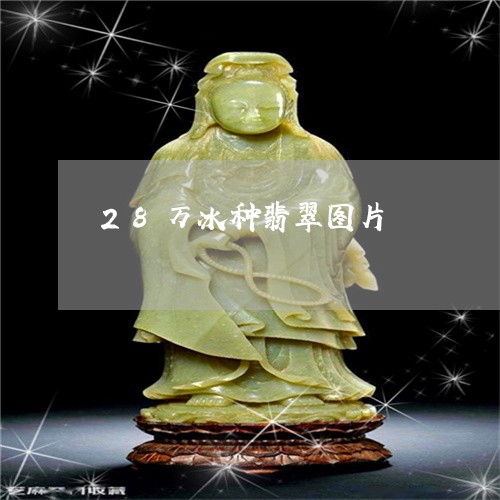 28万冰种翡翠图片/2023033125846