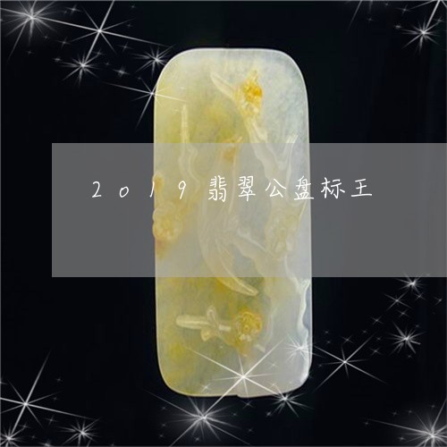 2o19翡翠公盘标王/2023041183935