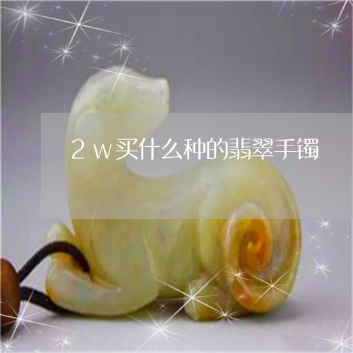 2w买什么种的翡翠手镯/2023070896178