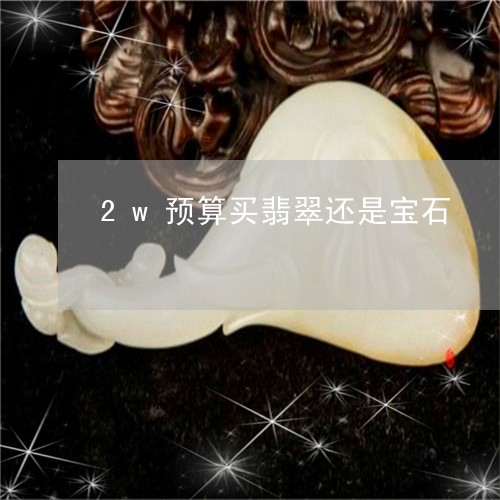 2w预算买翡翠还是宝石/2023070808250