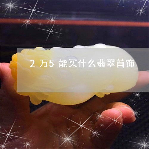 2万5能买什么翡翠首饰/2023070883937