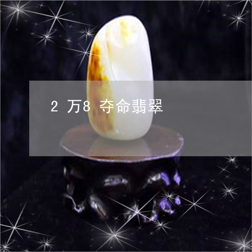 2万8夺命翡翠/2023111514159