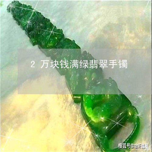 2万块钱满绿翡翠手镯/2023041152825