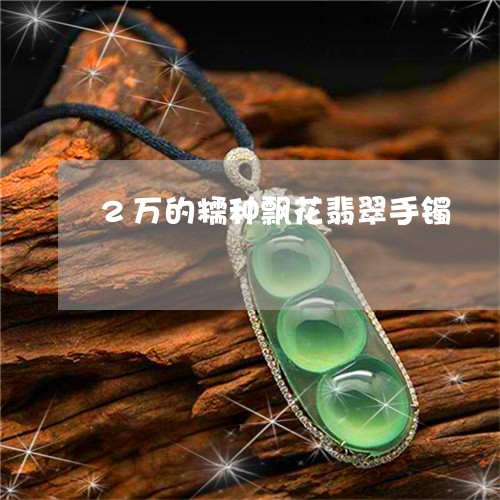 2万的糯种飘花翡翠手镯/2023070889401