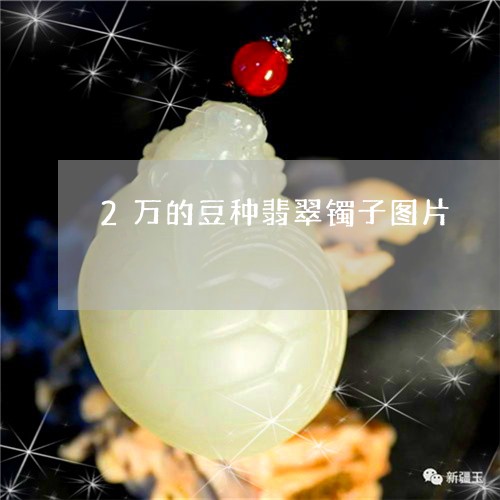 2万的豆种翡翠镯子图片/2023070827259