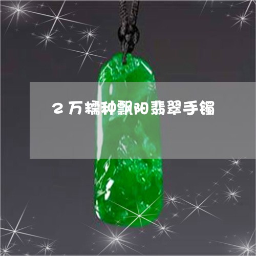 2万糯种飘阳翡翠手镯/2023041116148