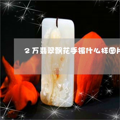 2万翡翠飘花手镯什么样图片/2023100644826