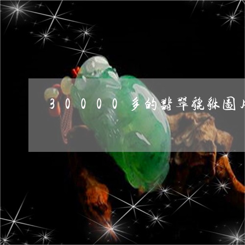 30000多的翡翠貔貅图片/2023100687260